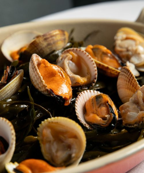 SINFONIA DE BIVALVOS A LA ARRABIATA_4 (1)